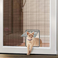 Creative Pet Door with Scratch-Resistant Design